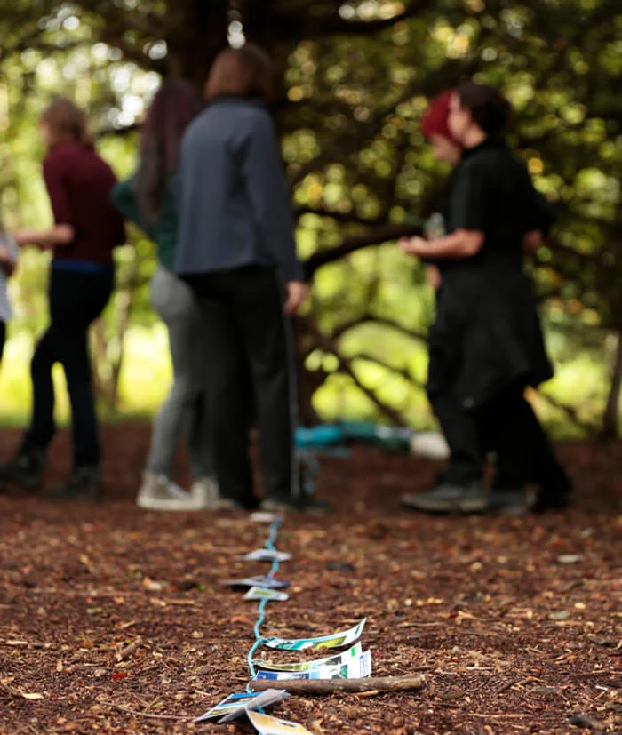 Group of people in forest taking part in team building activities Scotland